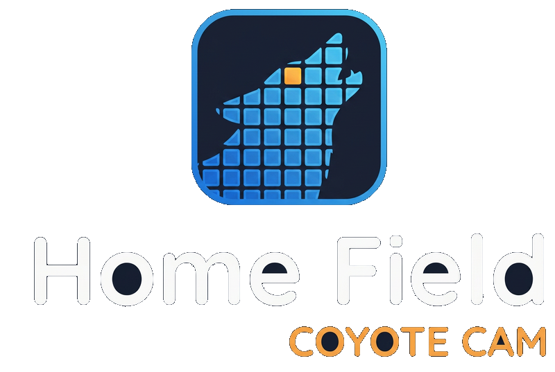 Home Field Coyote Cam