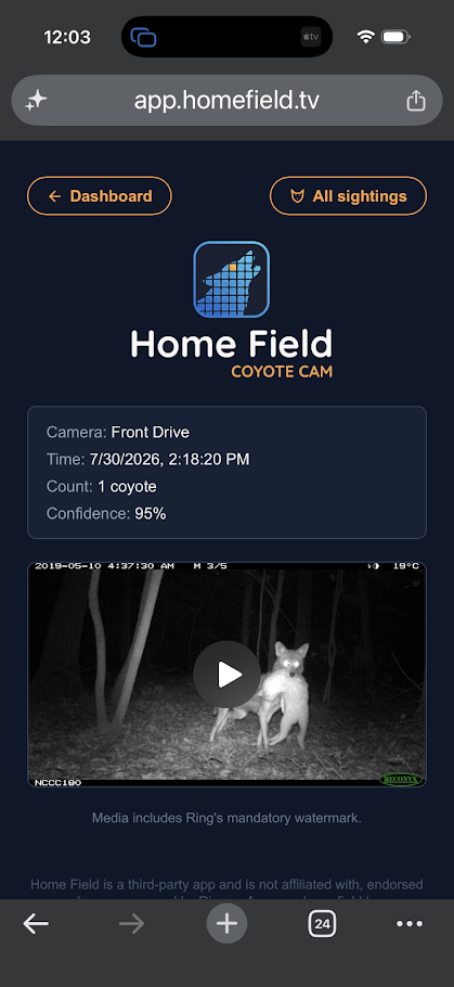 A Coyote Cam sighting page with camera, time, count, confidence and the night-IR clip