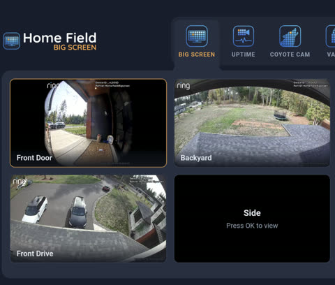 Big Screen on a TV: Front Door, Backyard, and Front Drive live in a grid
